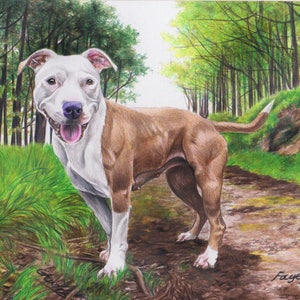 May include: A brown and white pit bull terrier dog stands on a dirt path in a forest. The dog is looking at the camera with its tongue sticking out. The dog is surrounded by green trees and grass.