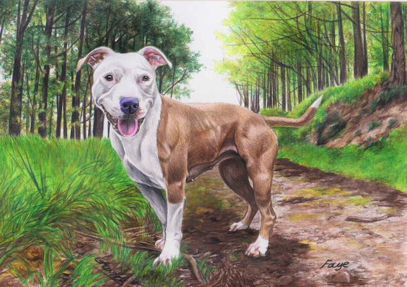May include: A brown and white pit bull terrier dog stands on a dirt path in a forest. The dog is looking at the camera with its tongue sticking out. The dog is surrounded by green trees and grass.