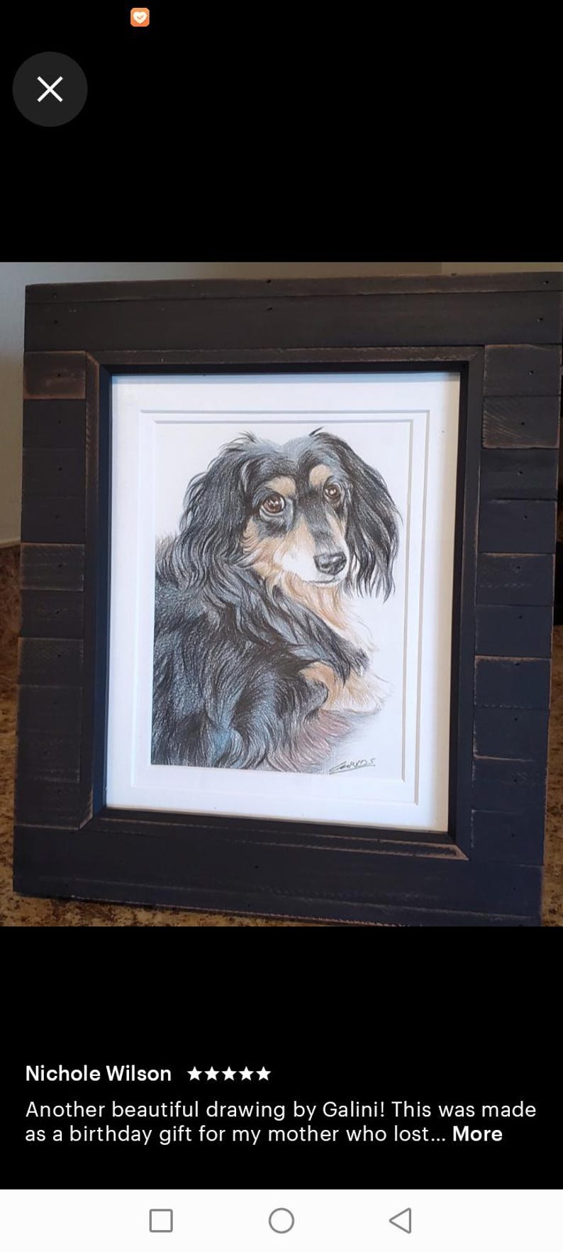 Colour pencil portraits, custom drawn - Any subject of your choice image 6