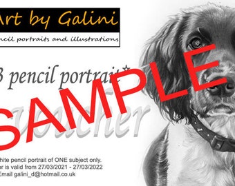 Custom drawn pencil portraits ***GIFT VOUCHER**