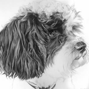 Custom drawn pencil portraits any subject of your choice image 2
