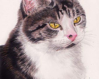 Colour pencil portraits, custom drawn - Any subject of your choice