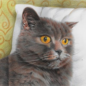 Colour pencil portraits, custom drawn - Any subject of your choice image 10