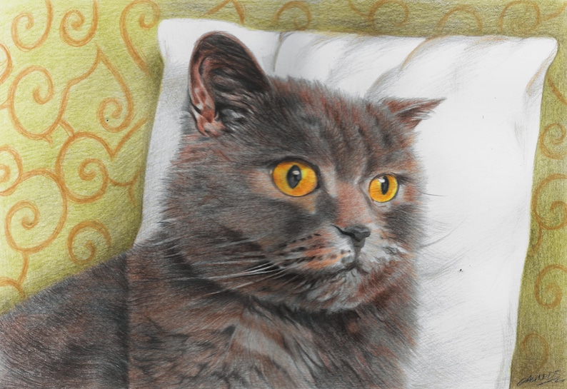 Colour pencil portraits, custom drawn - Any subject of your choice image 10
