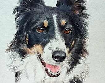 Colour pencil portraits, custom drawn - Any subject of your choice
