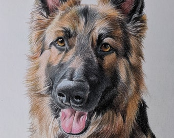 Custom drawn colour pencil portraits ***any subject of your choice**