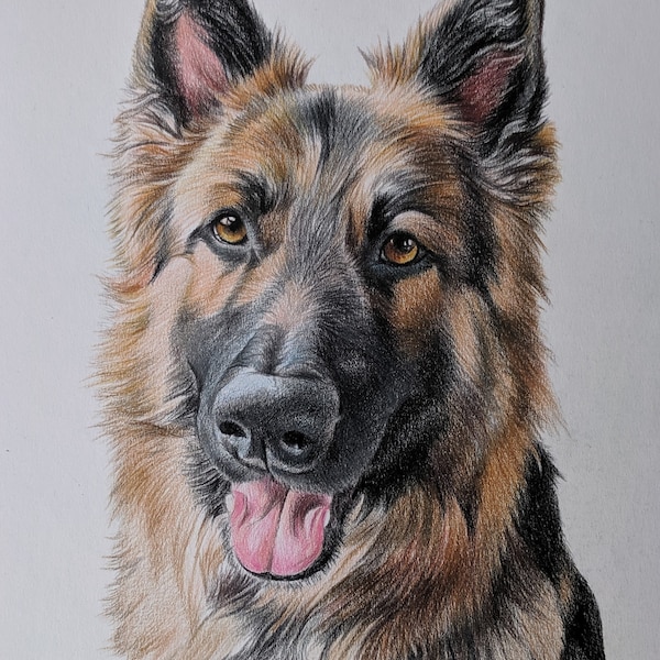 Colour pencil portraits, custom drawn - Any subject of your choice