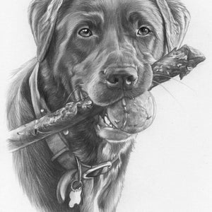 Custom drawn pencil portraits any subject of your choice image 4