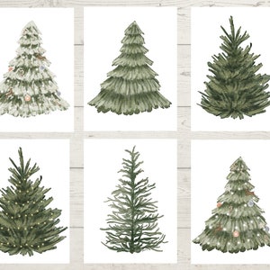Winter Evergreen Fir Tree Christmas Card Set / Blank Note Cards / Folded Notecards / Christmas Greeting Card