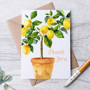 Amalfi “Thank You So Much” Card Set Amalfi “Thank You So Much” Card Set