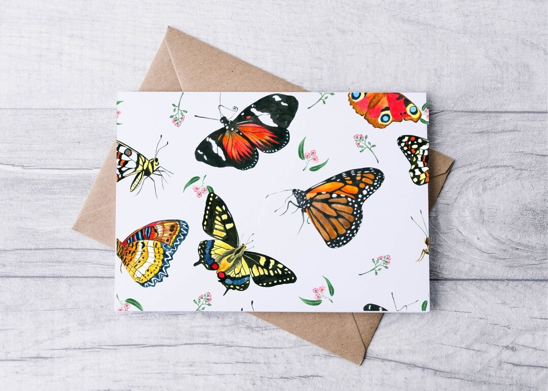 Butterflies Boxed Card Set / Blank Note Cards / Folded Notecards ...
