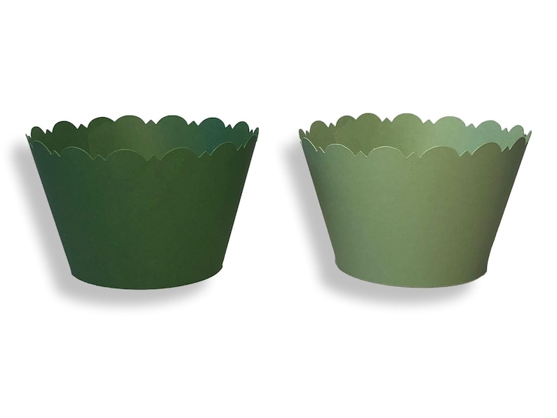 SAGE GREEN Cupcake Wrappers Dark Green Light Green Scalloped Etsy