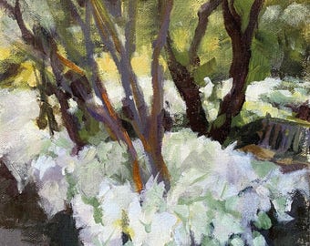 White Caladiums in Summer Shade