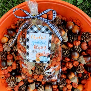 Fall Potpourri. Natural autumn garden potpourri scented or unscented.  About 4 cups. Mini pumpkins, cinnamon sticks, pine cones, acorn