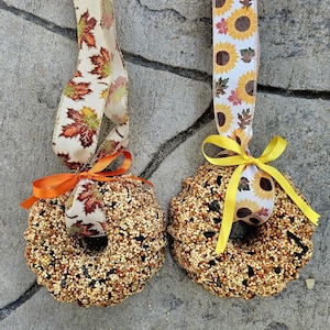 Bird Seed Wreath, Medium 6&quot; diameter. Winter or fall bird feeder. Gifts for bird lovers. Fruit and nut or plain wild bird seed.