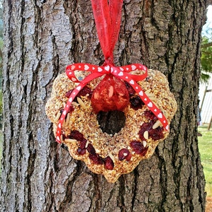 Heart Bird Seed Wreath, Large Bird Seed feeder.  8&quot; Heart Wreath