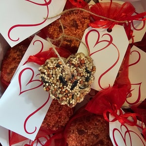 Bird seed feeders , set of 3 heart bird seed hanging ornaments. Bag and tags are included.