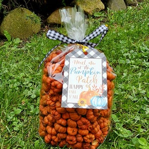 Mini Pumpkin, putka pods. Scented or unscented. Bowl filler, fall decor
