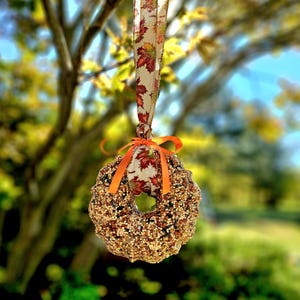 Bird Seed Wreath, Medium 6&quot; diameter. Winter or fall bird feeder. Gifts for bird lovers. Fruit and nut or plain wild bird seed.