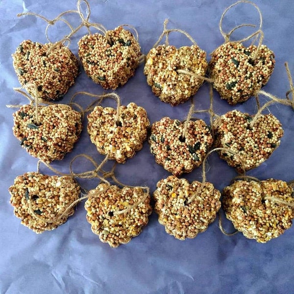 Bird seed feeders , set of 3 heart bird seed hanging ornaments. Bag and tags are included.