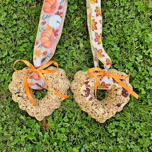 Heart Bird Seed Wreath, Large Bird Seed feeder.  8&quot; Heart Wreath