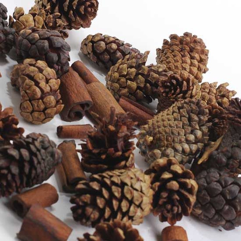 Cinnamon Scented Pine Cones with Cinnamon Sticks. Northern Etsy
