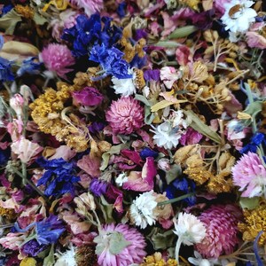 May include: A dense collection of dried flowers featuring a vibrant mix of pink globe amaranth, deep blue cornflowers, white strawflowers, and golden yellow blossoms. The arrangement includes various dried petals, stems, and small buds.