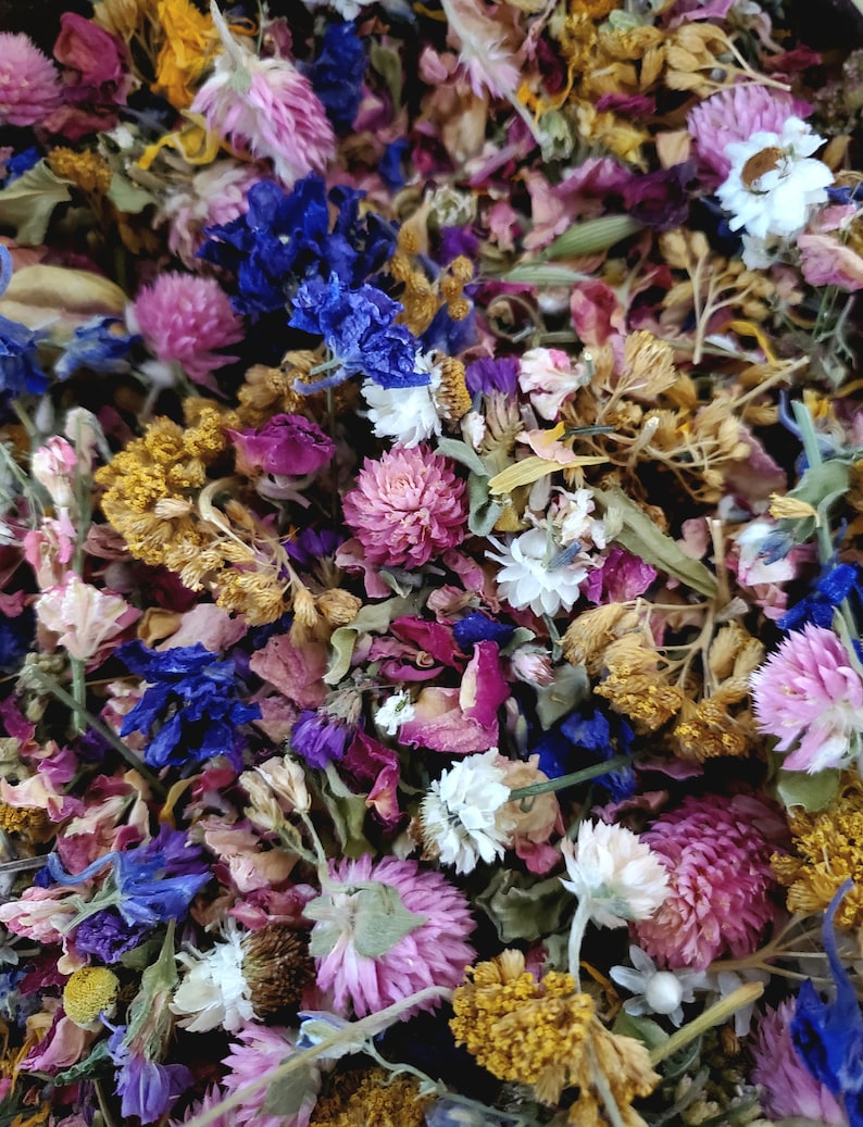 May include: A dense collection of dried flowers featuring a vibrant mix of pink globe amaranth, deep blue cornflowers, white strawflowers, and golden yellow blossoms. The arrangement includes various dried petals, stems, and small buds.