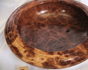 Great contrast Australian Brown Mallee burl wood bowl #2170