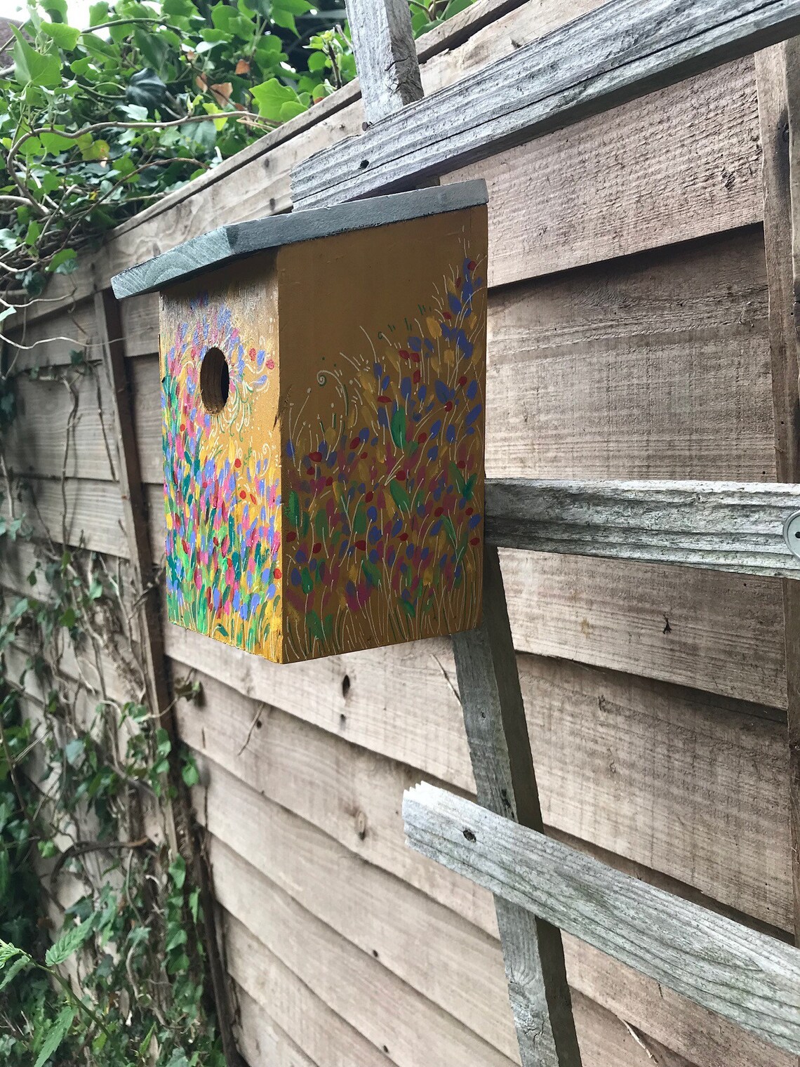 Bird art Hand painted Bird box varnished small bird besting Etsy