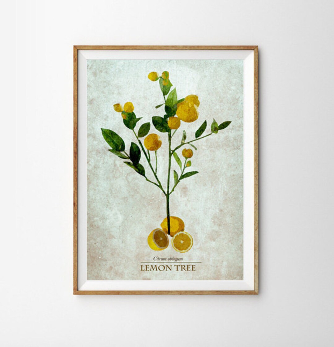 Lemon Tree Print Botanical Print Botanical Art Holiday Print Science ...