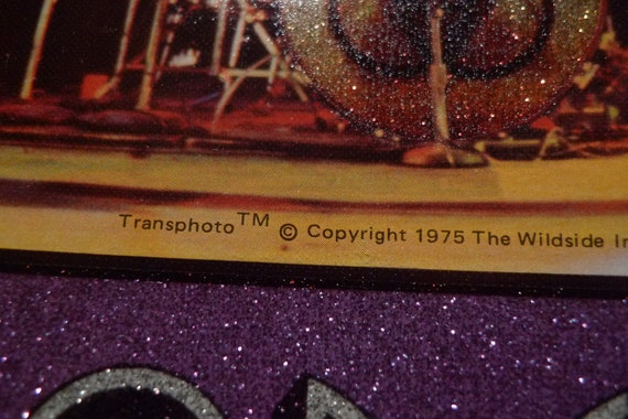 1976 Led Zeppelin Single Stitch Jersey (C) Licens… - image 2