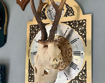 deer skull mounted on a decorative vintage clock dial
