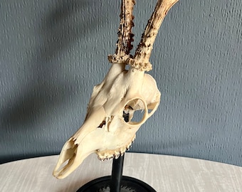 deer skull mounted on a decorative base crafted from wood and repurposed tool parts