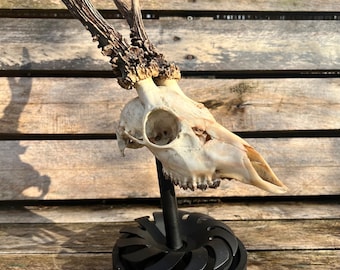 deer skull mounted on a decorative base crafted from wood and repurposed machine parts