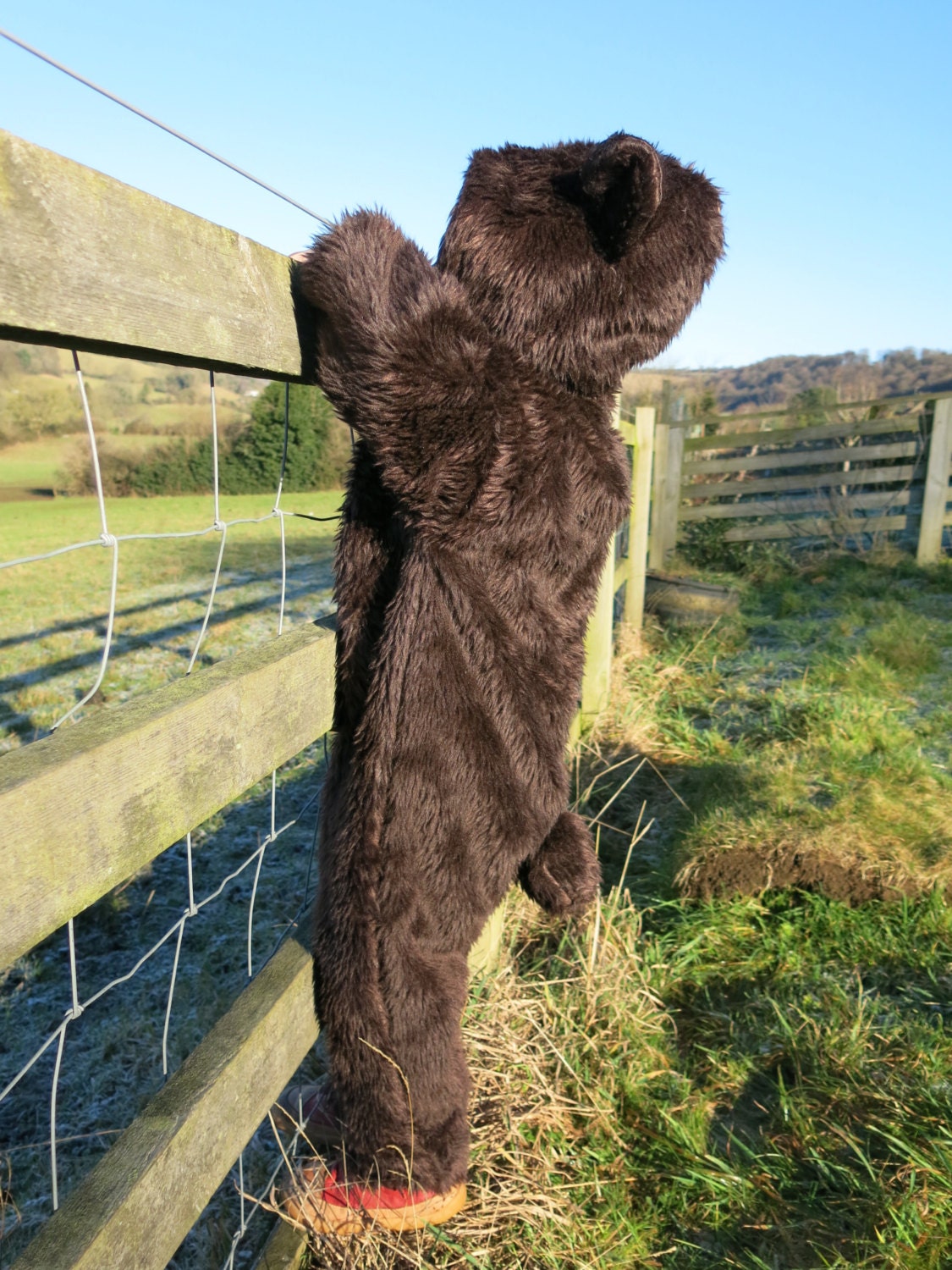 Brown Bear Costume - Etsy