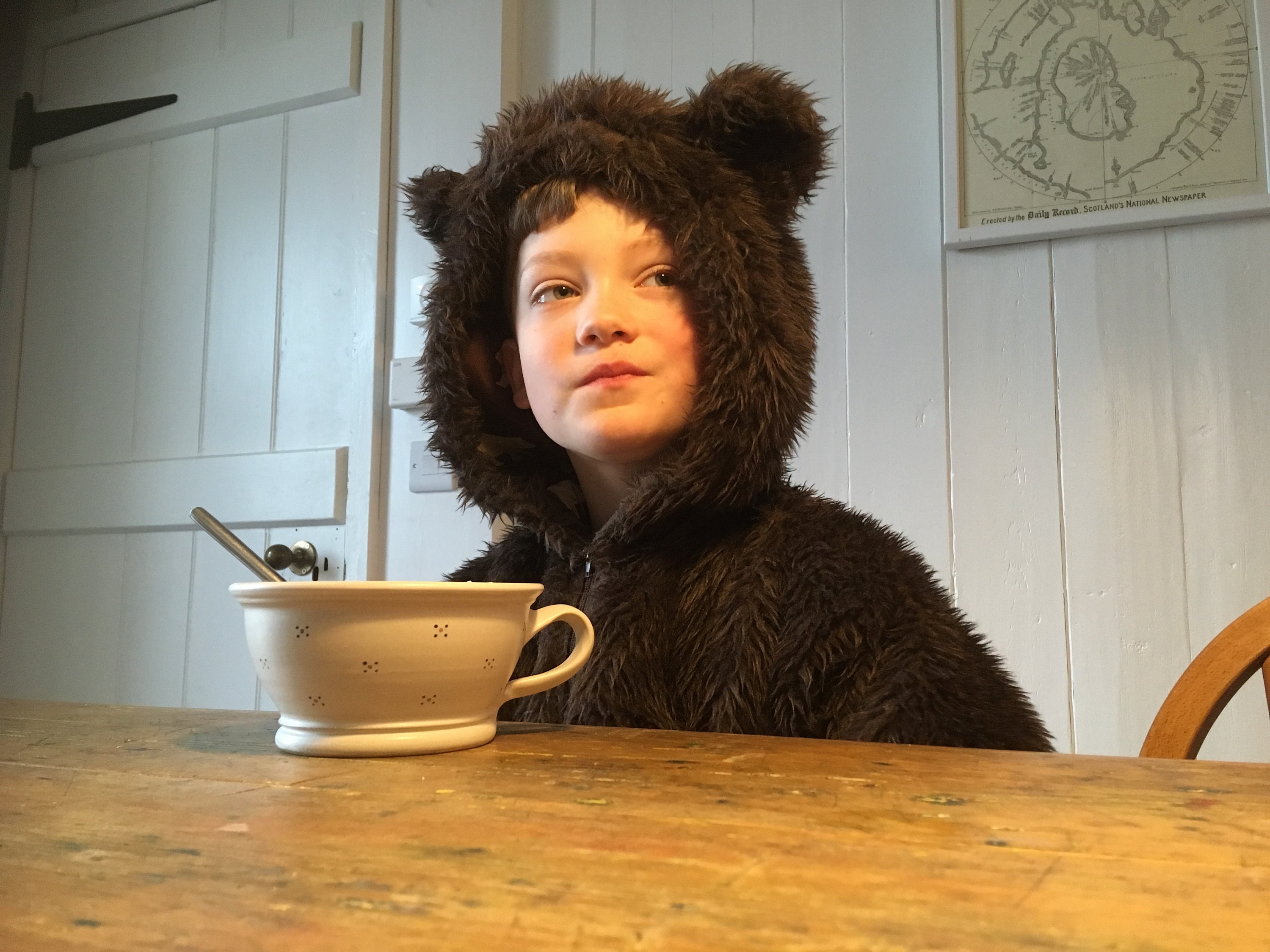 brown bear dress up Brown Bear Costume Peanut Butter