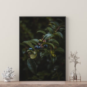 Wild Berry Bush | Nature Photograph | Printable Art | Nature Print