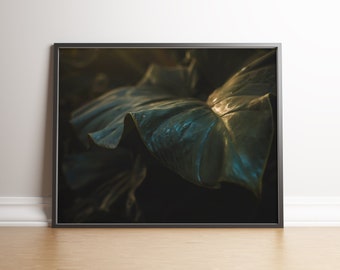 Plant Photograph | Tropical Wall Art | Nature Home Decor | Printable Art