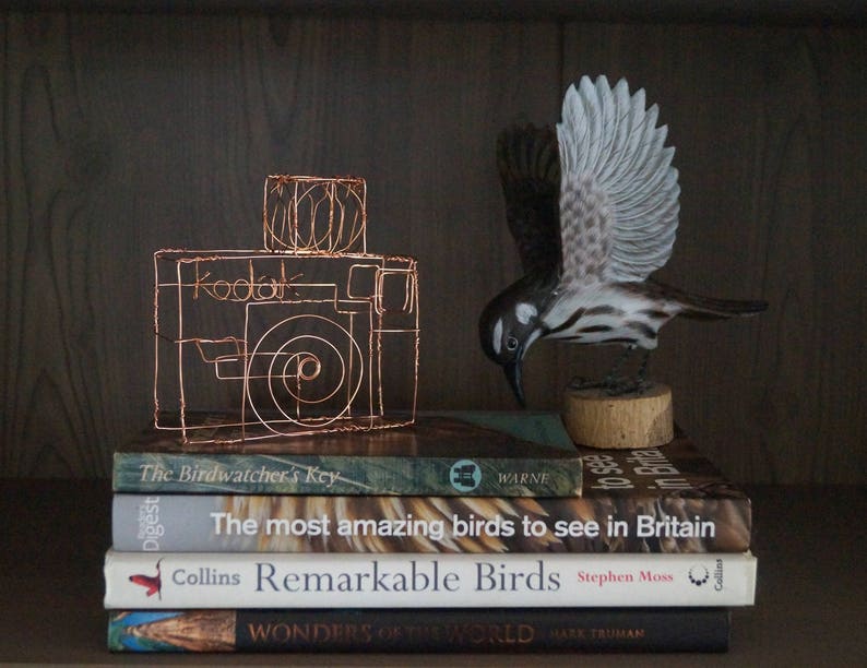 Wire Sculpture Kodak Camera Photographer Photography Etsy
