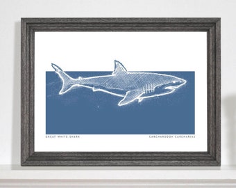 Great White Shark Art Print, Shark art print, Marine life drawing, Sea life print, Bathroom art print. A5, A4, A3