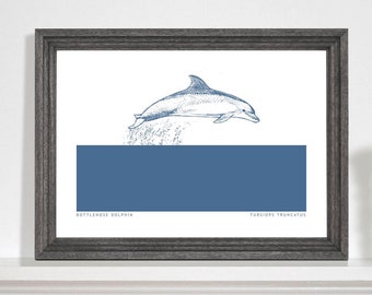 Dolphin Jumping Art Print, Bottlenose Dolphin art print, Marine life drawing, Sea life print, Bathroom art print. A5, A4, A3