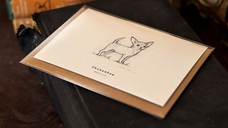 FREE P/&P for UK Chihuahua Greeting Card Beautifully drawn luxury handmade on heavy textured card