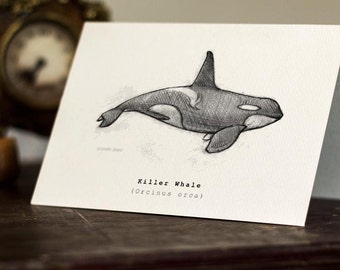 Killer Whale Greeting Card -  Beautifully drawn print - quality card stock. FREE P&P for UK - FREE Personal Message