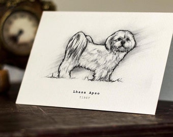 Lhasa Apso Greeting Card -  Beautifully drawn print - quality card stock. FREE P&P for UK - FREE Personal Message