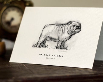 British Bulldog Greeting Card -  Beautifully drawn print - quality card stock. FREE P&P for UK - FREE Personal Message