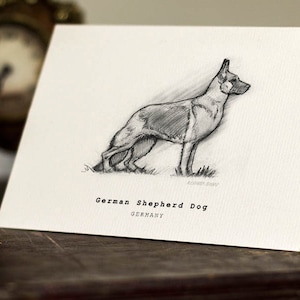 German Shepherd Greeting Card -  Beautifully drawn print - quality card stock. FREE P&P for UK - FREE Personal Message