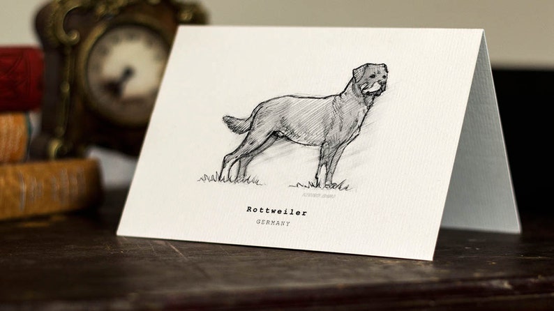 Beautifully drawn luxury handmade on heavy textured card FREE P/&P for UK card orders. Rottweiler Greeting Card