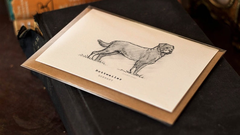 Beautifully drawn luxury handmade on heavy textured card FREE P/&P for UK card orders. Rottweiler Greeting Card