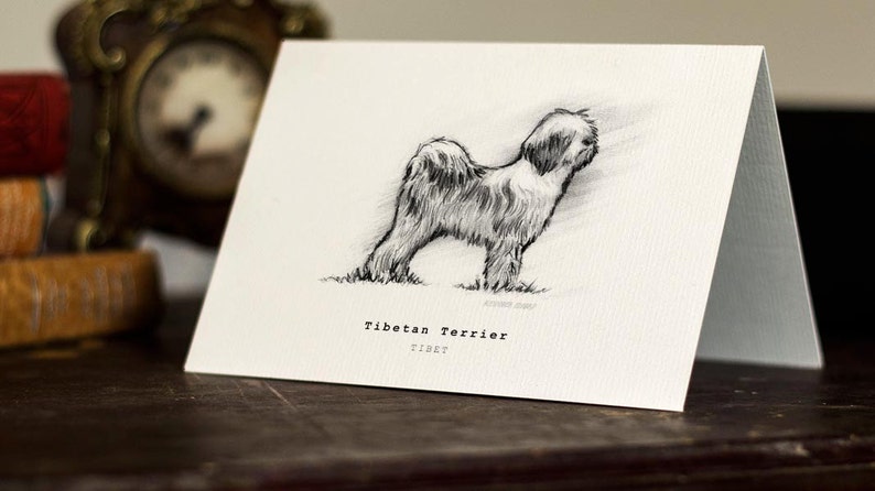 Tibetan Terrier Greeting Card Beautifully drawn print quality card stock. FREE P&P for UK FREE Personal Message image 1